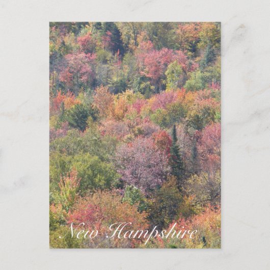 Fall Foliage, Franconia Notch Staat Park, NH Postkarte (Vorderseite)