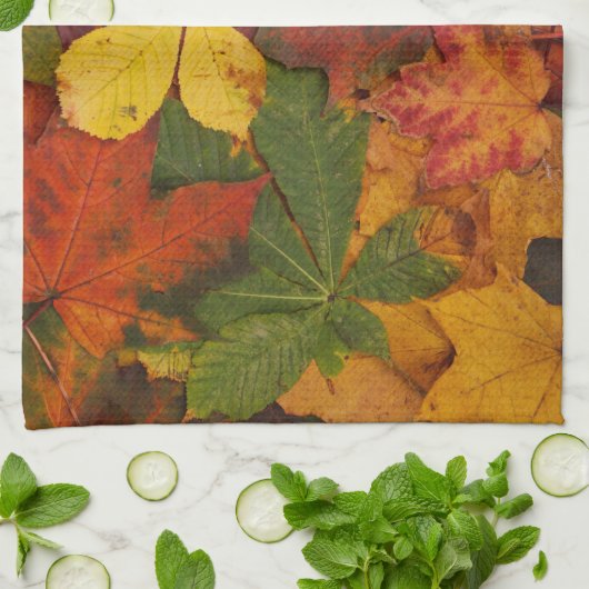 Fall Foliage Handtuch (Gefaltet)
