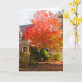 Fall Foliage in Oak Bluffs - Martha's Vineyard Karte (Gelbe Blume)