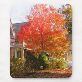 Fall Foliage in Oak Bluffs - Martha's Vineyard Mousepad