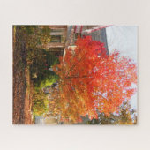 Fall Foliage in Oak Bluffs - Martha's Vineyard Puzzle (Horizontal)