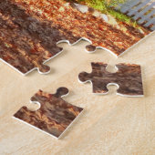 Fall Foliage in Oak Bluffs - Martha's Vineyard Puzzle (Seite)