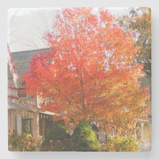 Fall Foliage in Oak Bluffs - Martha's Vineyard Steinuntersetzer (Vorderseite)