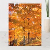 Fall Foliage Karte (Rückseite)