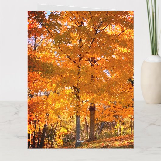 Fall Foliage Karte (Rückseite)