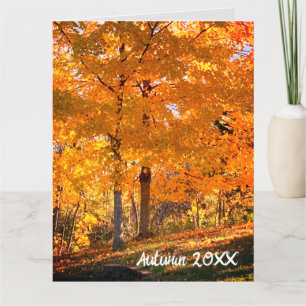 Fall Foliage Karte