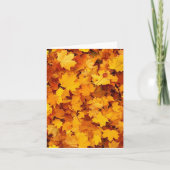 Fall Foliage Karte (Vorderseite)