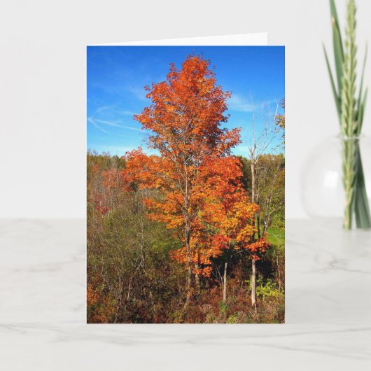 Fall Foliage Karte (Vorderseite)