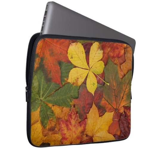 Fall Foliage Laptopschutzhülle (Vorne Rechts)