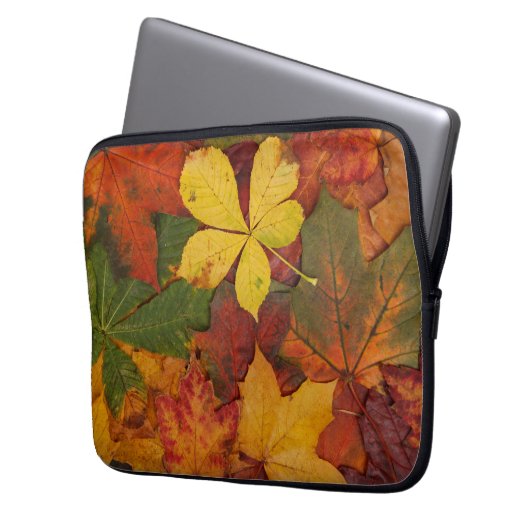 Fall Foliage Laptopschutzhülle (Vorderseite Links)