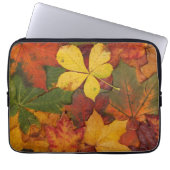 Fall Foliage Laptopschutzhülle (Vorderseite)