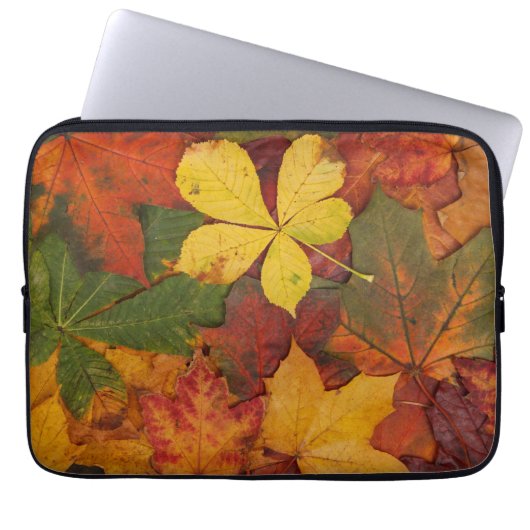 Fall Foliage Laptopschutzhülle (Vorderseite)