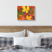 Fall Foliage Leinwanddruck (Insitu (Schlafzimmer))