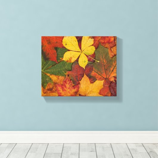Fall Foliage Leinwanddruck (Insitu (Holzboden))