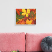 Fall Foliage Leinwanddruck (Insitu (Wohnzimmer))