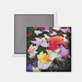 Fall Foliage Magnet (Vorderseite/Rückseite)