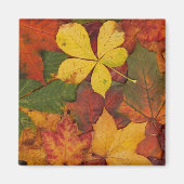 Fall Foliage Magnet (Vorne)