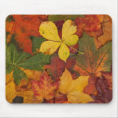 Fall Foliage Mousepad (Vorne)