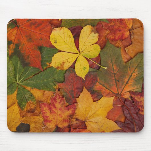 Fall Foliage Mousepad (Vorne)