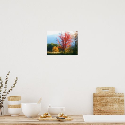 Fall Foliage Nature Foto Malerei Poster (Küche)