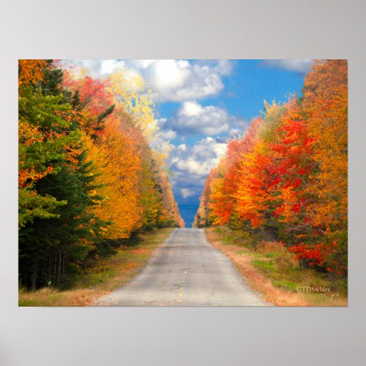 Fall Foliage New England Poster (Vorne)