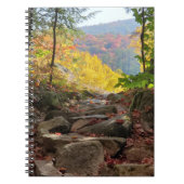 Fall Foliage Notizblock (Vorderseite)