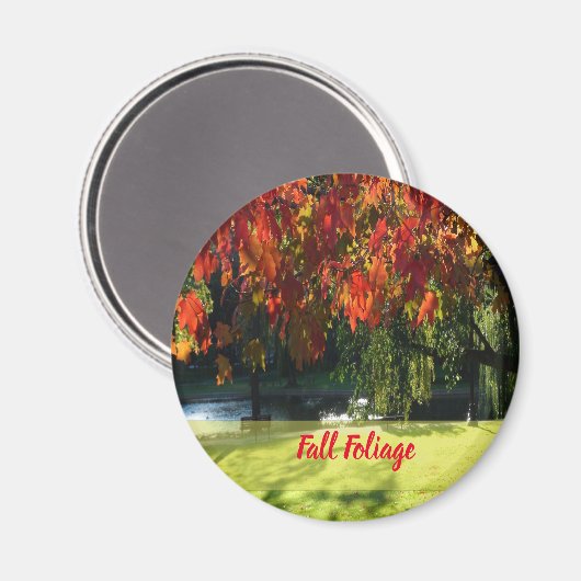 Fall Foliage of Boston Magnet (Vorderseite/Rückseite)