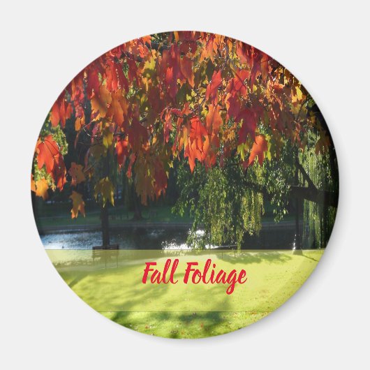 Fall Foliage of Boston Magnet (Vorne)