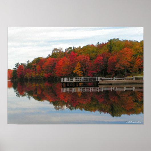 Fall Foliage Poster (Vorne)