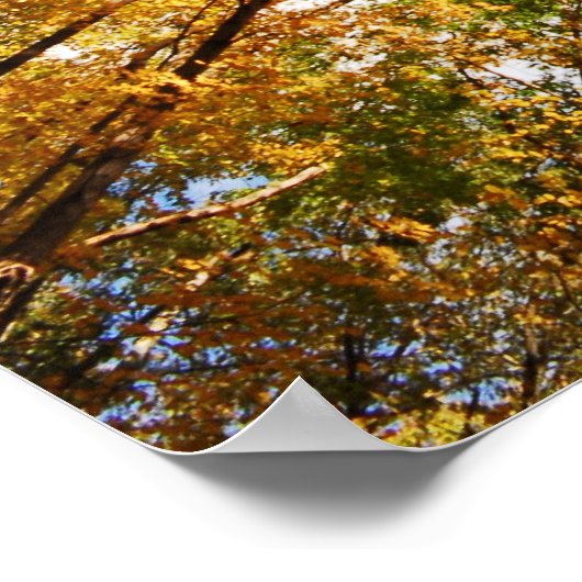 Fall Foliage Poster (Ecke)