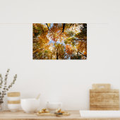 Fall Foliage Poster (Küche)