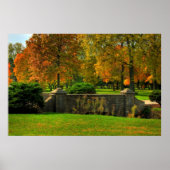 Fall Foliage Poster (Vorne)