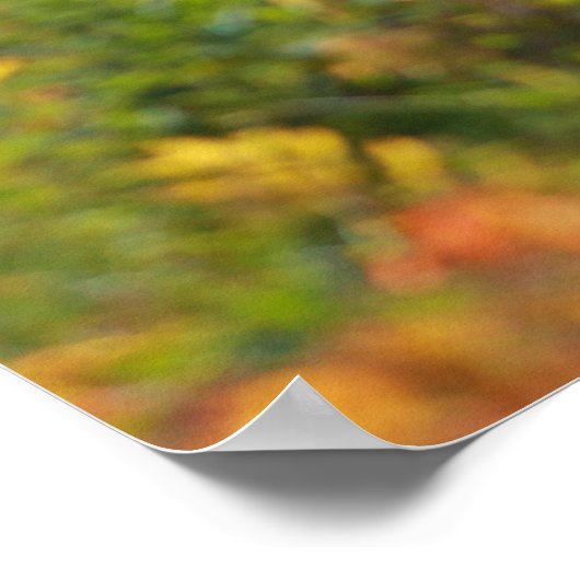 Fall Foliage Poster (Ecke)