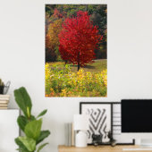 Fall Foliage Poster (Heimbüro)