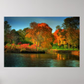 Fall Foliage Poster (Vorne)