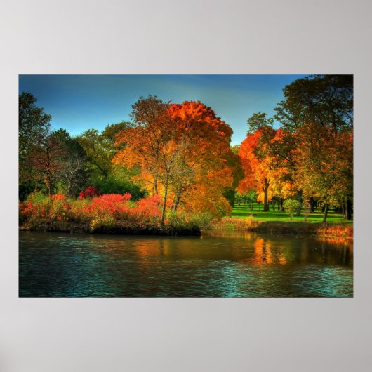 Fall Foliage Poster (Vorne)