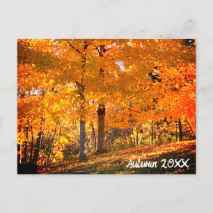 Fall Foliage Postkarte