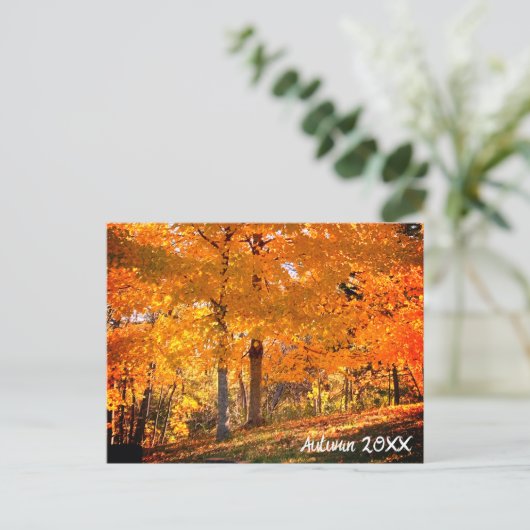 Fall Foliage Postkarte (Stehend Vorderseite)