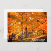 Fall Foliage Postkarte (Vorne/Hinten)