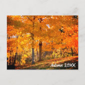 Fall Foliage Postkarte (Vorderseite)