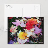 Fall Foliage Postkarte (Vorne/Hinten)