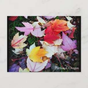 Fall Foliage Postkarte