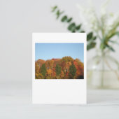 Fall Foliage Postkarte (Stehend Vorderseite)