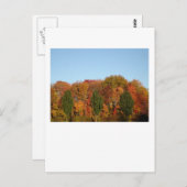 Fall Foliage Postkarte (Vorne/Hinten)