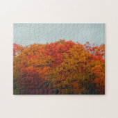Fall Foliage Puzzle (Horizontal)