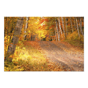 Fall Foliage Rural Road U.P. Michigan-Fotografie Fotodruck