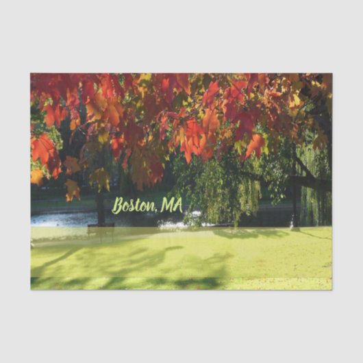 Fall Foliage Seidenpapier (Vorderseite)
