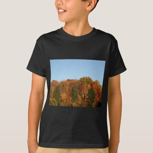 Fall Foliage T-Shirt (Vorderseite)