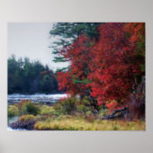 Fall Foliage Teich Malerei Natur Kunst Poster (Vorne)