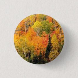 Fall Foliage Valley Button